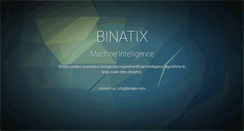 Desktop Screenshot of binatix.com